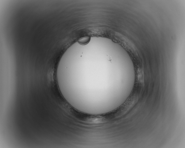 X0000101430514200807211153