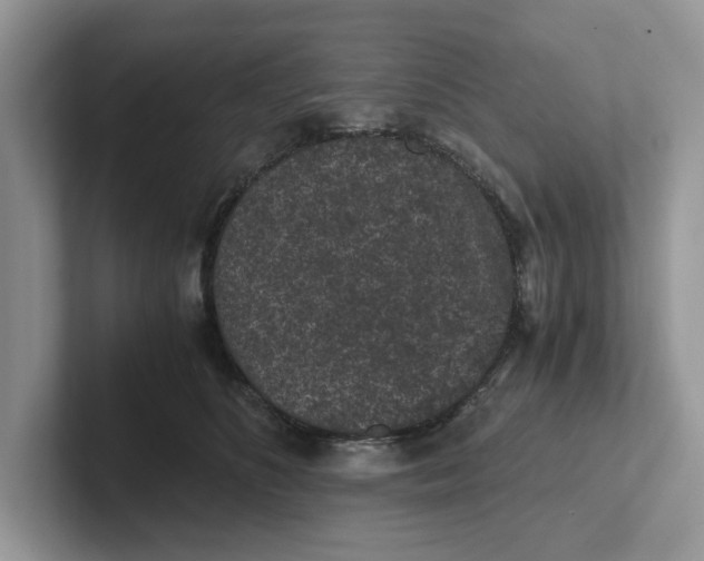 X0000101430516200807211153