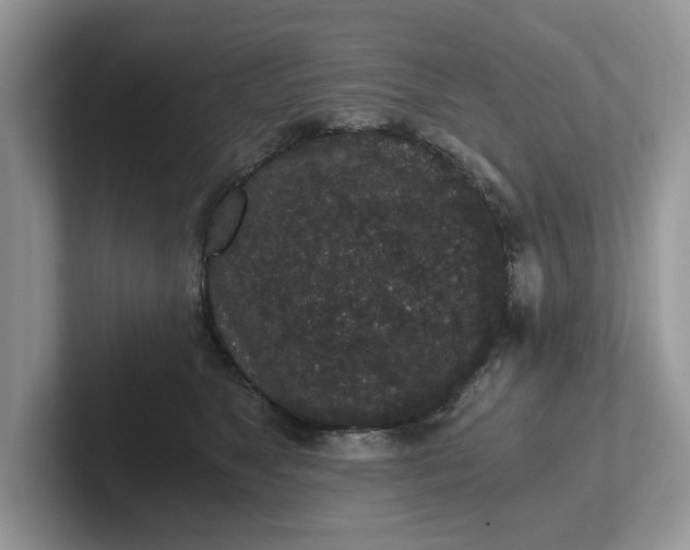 X0000101430517200807211153