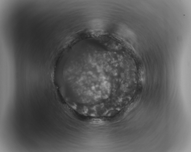 X0000101430519200807211153