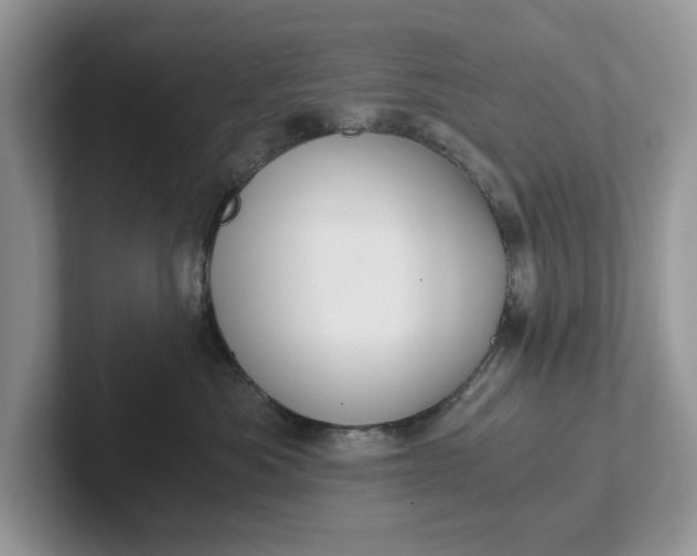 X0000101430525200807211153