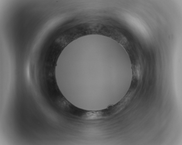 X0000101430526200807211153