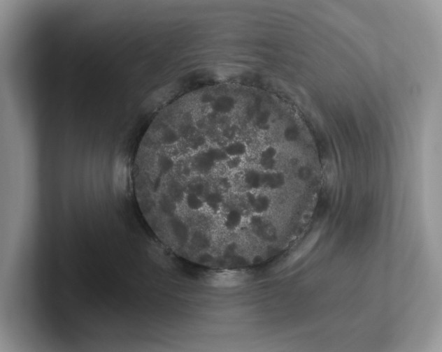 X0000101430527200807211153