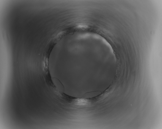 X0000101430528200807211153