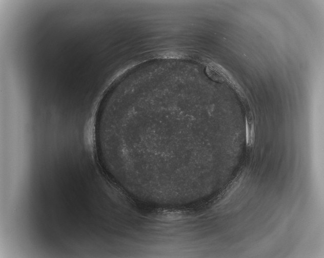 X0000101430531200807211152