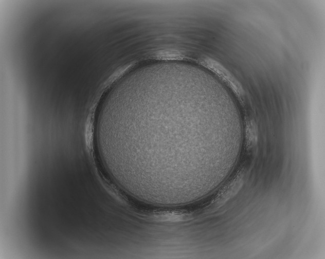 X0000101430533200807211152