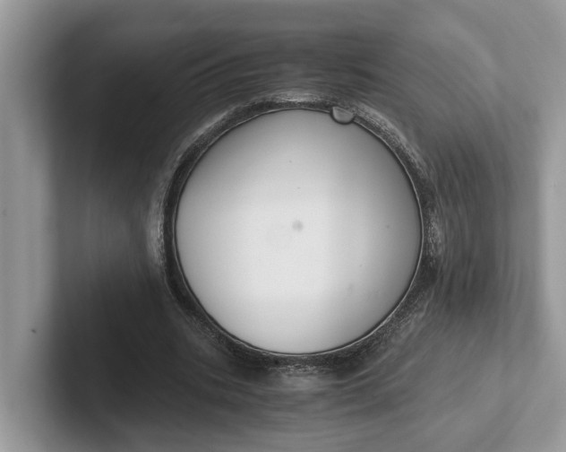 X0000101430535200807211152