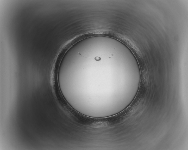 X0000101430536200807211152