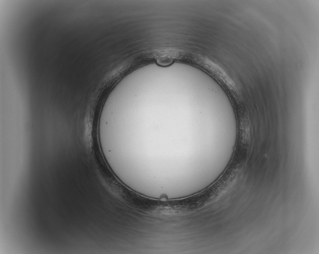 X0000101430538200807211152