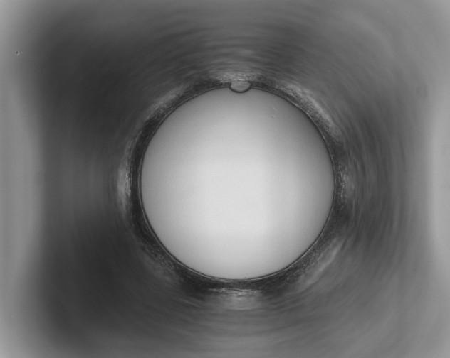 X0000101430539200807211152