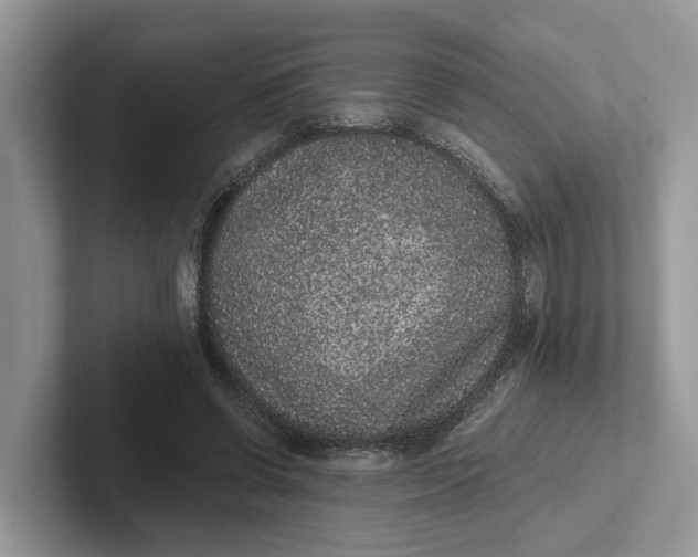 X0000101430542200807211152