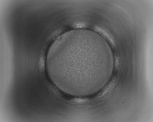 X0000101430545200807211152