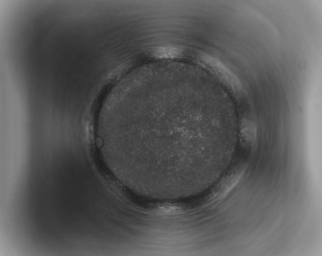 X0000101430547200807211152