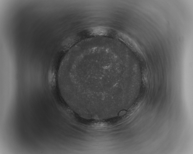 X0000101430551200807211152