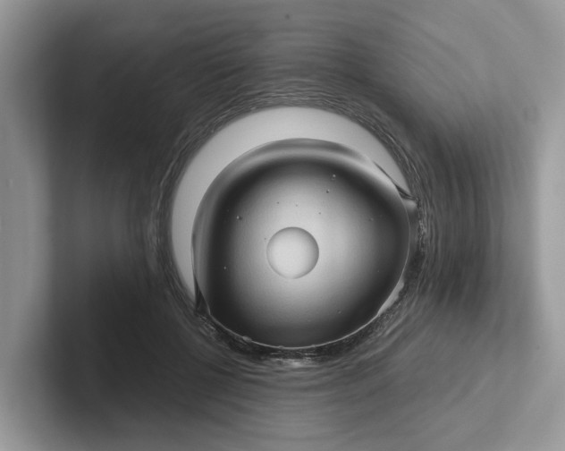 X0000101430552200807211152