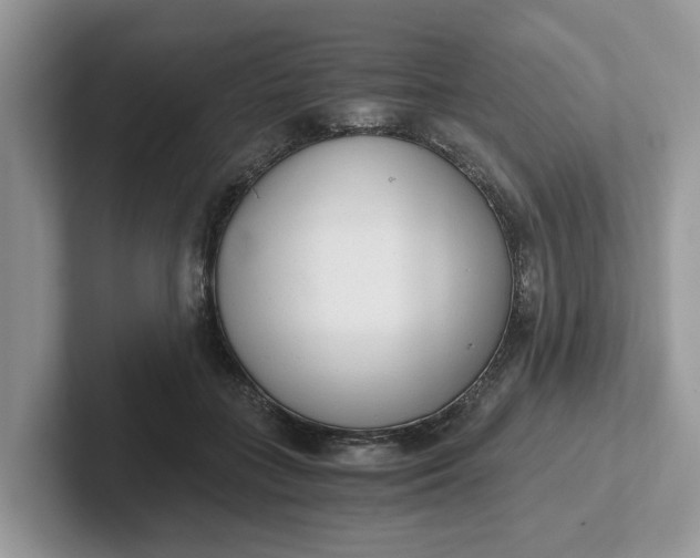 X0000101430555200807211152