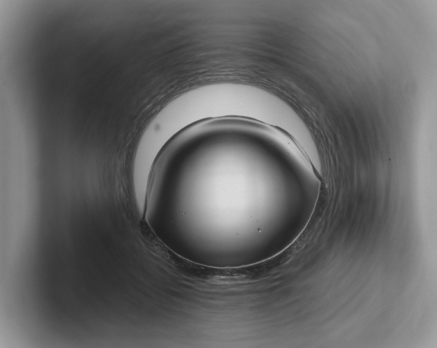 X0000101430556200807211152