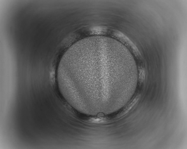 X0000101430557200807211152