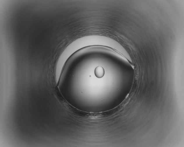 X0000101430560200807211152