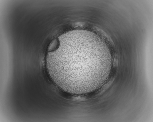 X0000101430561200807211152