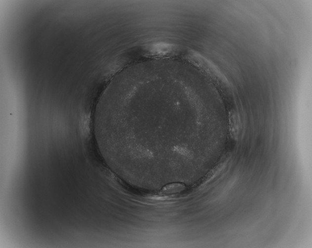 X0000101430563200807211152