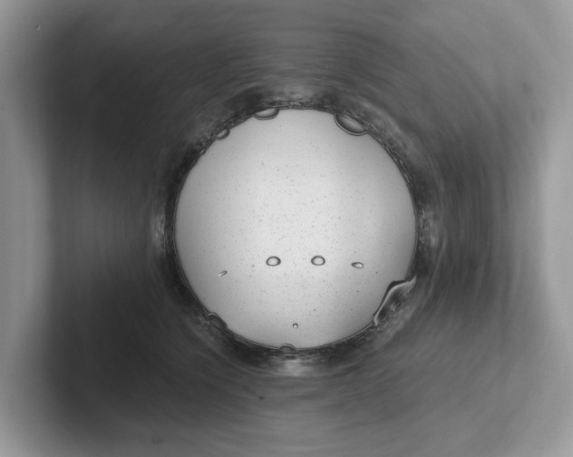 X0000101430564200807211152