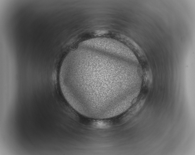 X0000101430565200807211152