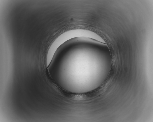 X0000101430566200807211152