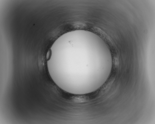 X0000101430567200807211152