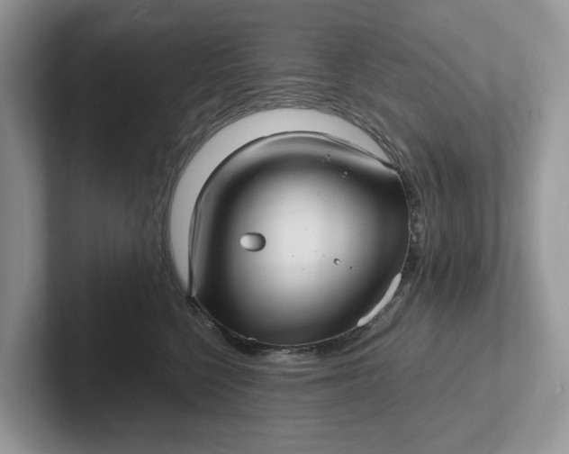 X0000101430568200807211152