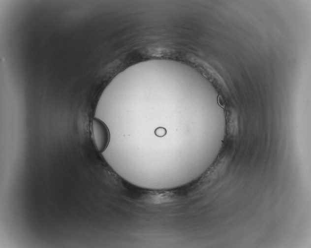 X0000101430569200807211153