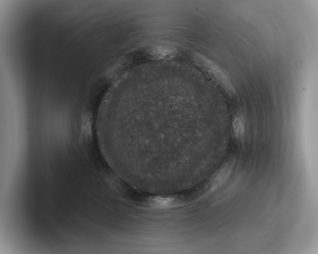 X0000101430570200807211153