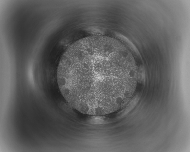 X0000101430573200807211153