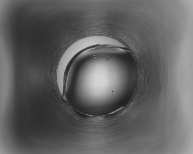 X0000101430576200807211153