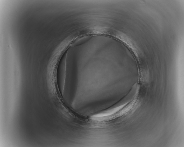 X0000101430577200807211152