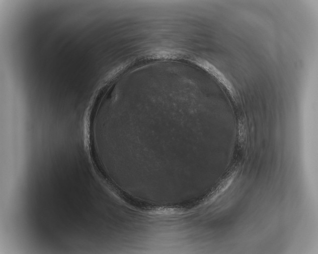 X0000101430581200807211152