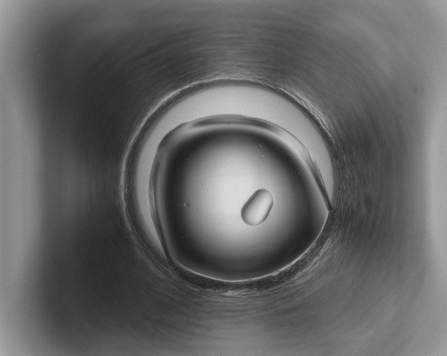 X0000101430584200807211152