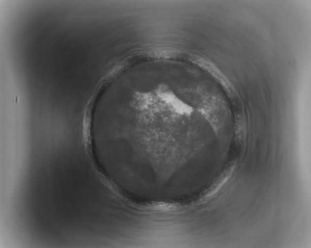 X0000101430585200807211152