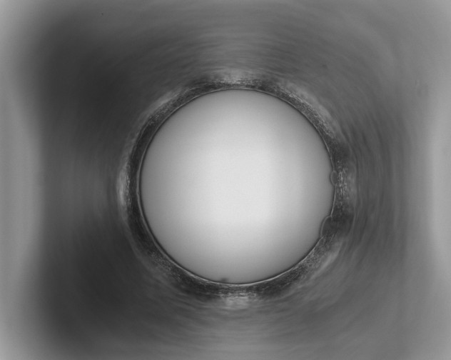 X0000101430587200807211152