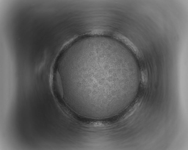 X0000101430588200807211152