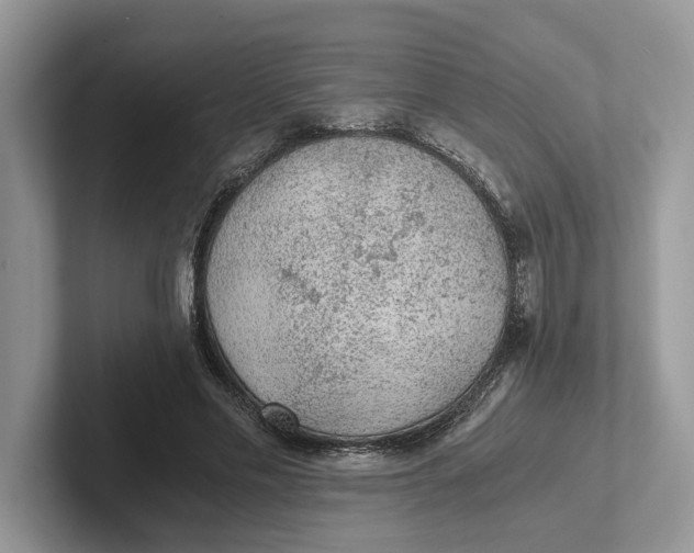 X0000101430589200807211152