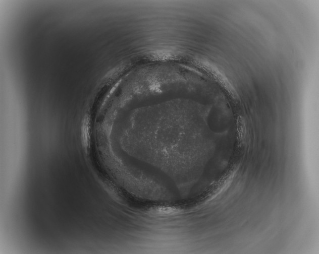 X0000101430590200807211152