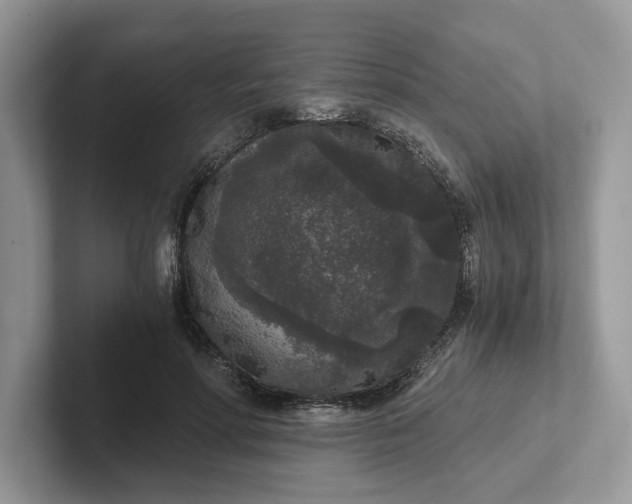 X0000101430598200807211152