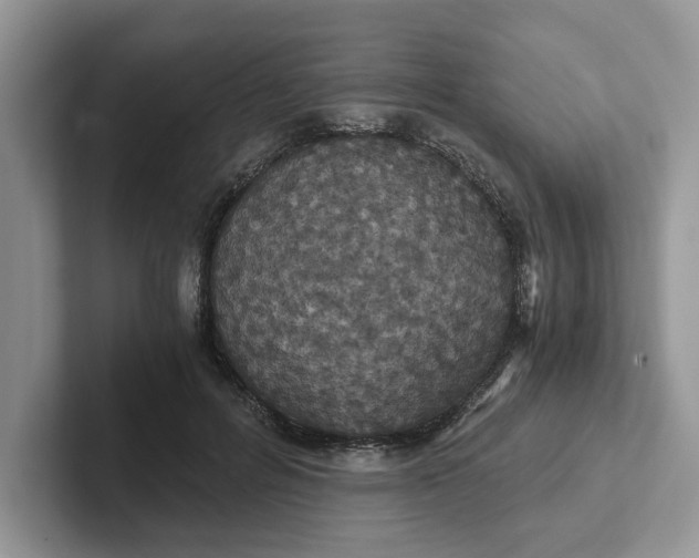 X0000101430600200807211152