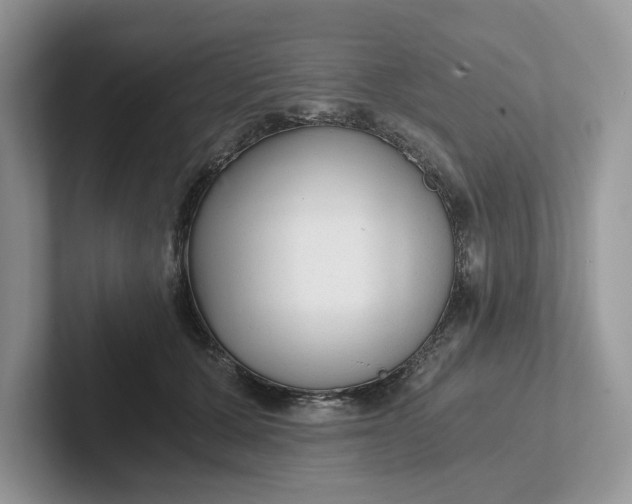 X0000101430607200807211151