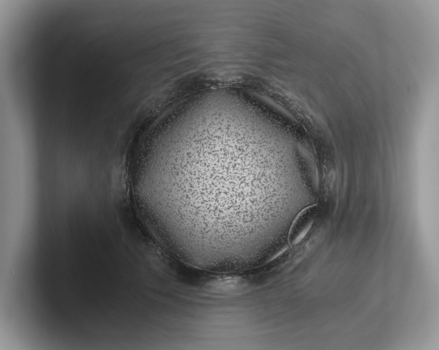 X0000101430609200807211151