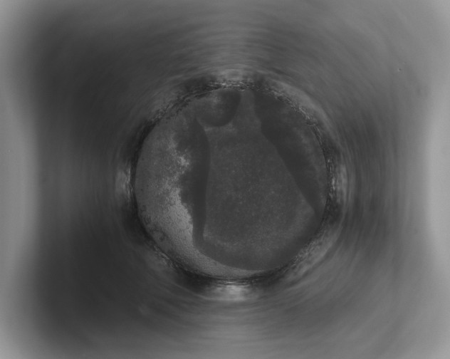 X0000101430610200807211151