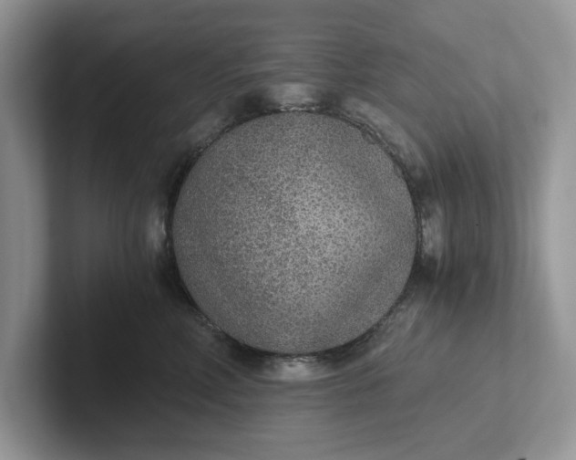 X0000101430618200807211151