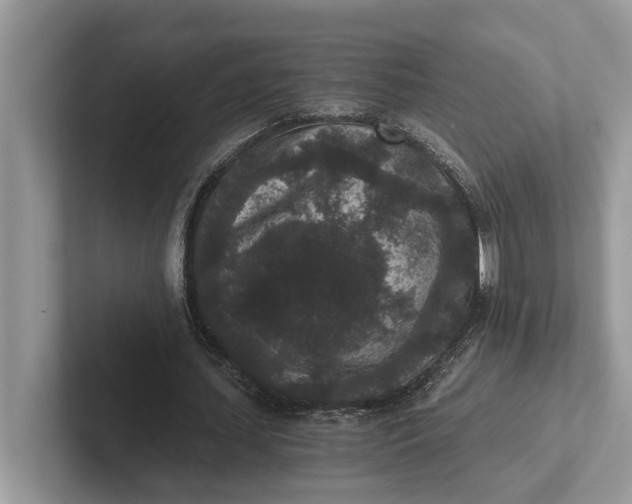 X0000101430627200807211151