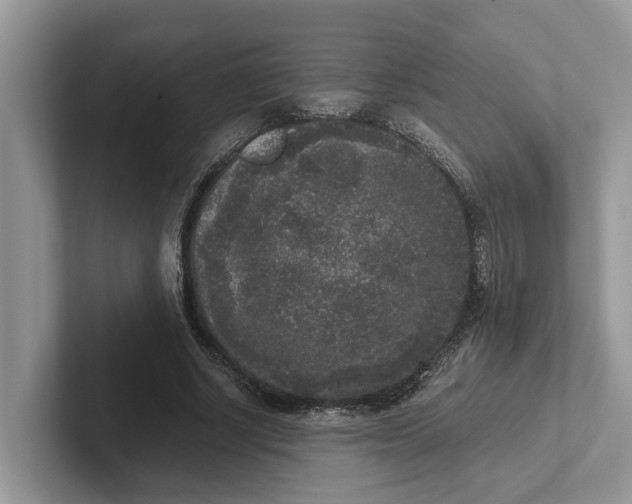 X0000101430634200807211151